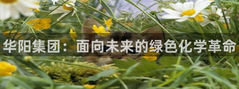 球盟会电子游戏平台：华阳集团：面向未来的