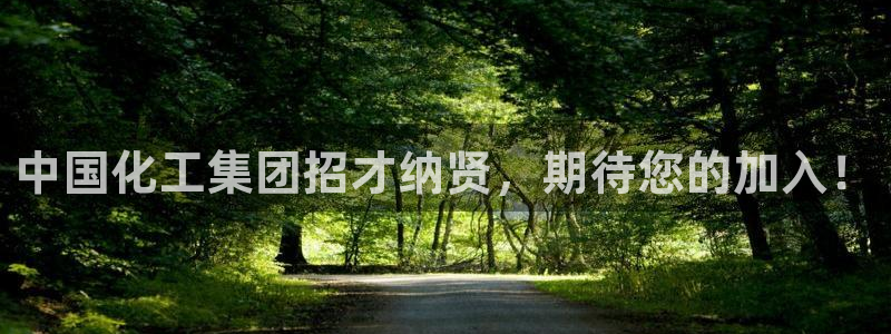 球盟会进不去吗