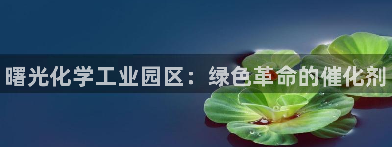 球盟会能退钱吗现在：曙光化学工业园区：绿色革命的催化剂