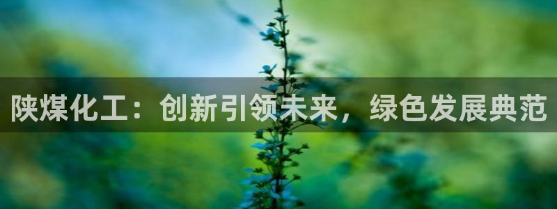 球盟会体验金球奖吗：陕煤化工：创新引领未