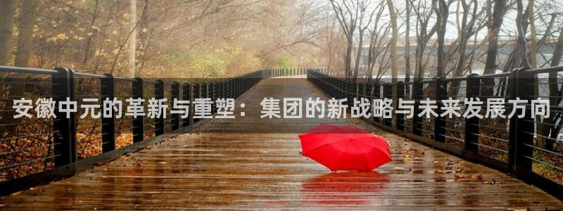 球盟会黑款吗知乎：安徽中元的革新与重塑：