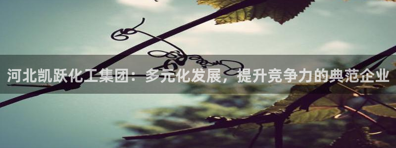 球盟会封禁：河北凯跃化工集团：多元化发展