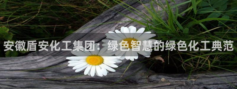 球盟会在线登入：安徽盾安化工集团：绿色智慧的绿色化工典范